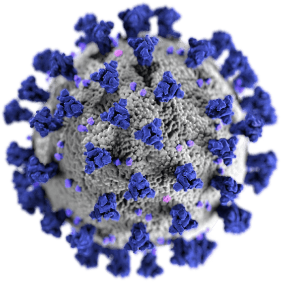 covid 19 virus illustration